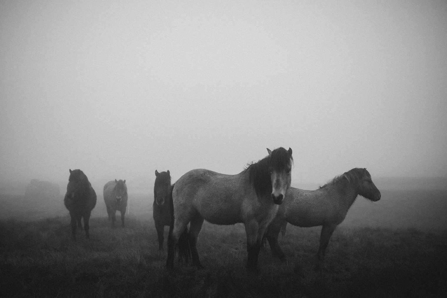 Iceland wedding photographer