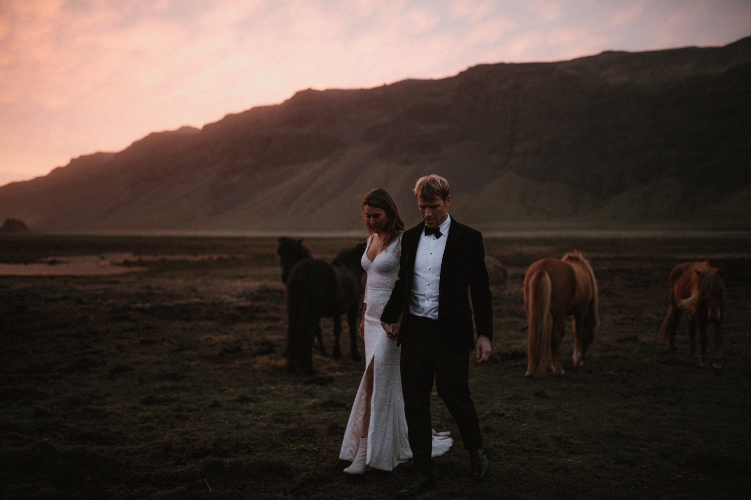 bride and groom walking in iceland with horses 